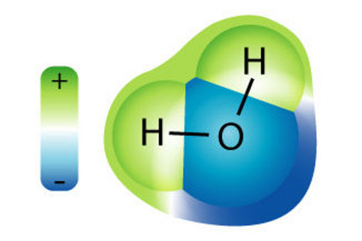 water molecule
